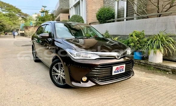 কেনা ব্যবহৃত Toyota Axio Bronze গাড়ী মধ্যে বাজিতপুর মধ্যে Kishorganj কেনা ব্যবহৃত Toyota Axio Bronze গাড়ী মধ্যে বাজিতপুর মধ্যে Kishorganj