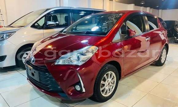 Buy Used 2019 Toyota Vitz in Dhaka, Dhaka Buy Used 2019 Toyota Vitz in Dhaka, Dhaka