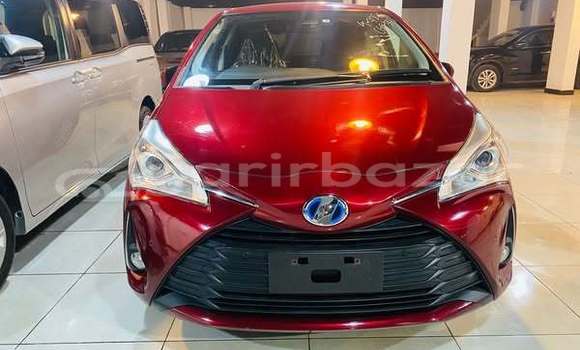 Buy Used 2019 Toyota Vitz in Dhaka, Dhaka Buy Used 2019 Toyota Vitz in Dhaka, Dhaka