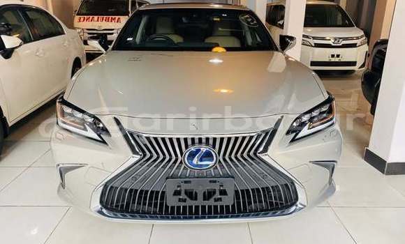 Buy Used 2019 Lexus ES in Dhaka, Dhaka Buy Used 2019 Lexus ES in Dhaka, Dhaka