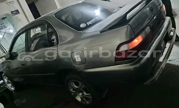 কেনা ব্যবহৃত Toyota 100 ac limiteed Other গাড়ী মধ্যে বান্দরবান মধ্যে Bandarban কেনা ব্যবহৃত Toyota 100 ac limiteed Other গাড়ী মধ্যে বান্দরবান মধ্যে Bandarban