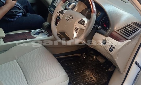 কেনা ব্যবহৃত Toyota Premio White গাড়ী মধ্যে ঢাকা মধ্যে Dhaka কেনা ব্যবহৃত Toyota Premio White গাড়ী মধ্যে ঢাকা মধ্যে Dhaka