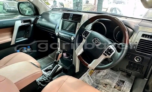 কেনা ব্যবহৃত Toyota Prado tx Black গাড়ী মধ্যে বাজিতপুর মধ্যে Kishorganj কেনা ব্যবহৃত Toyota Prado tx Black গাড়ী মধ্যে বাজিতপুর মধ্যে Kishorganj