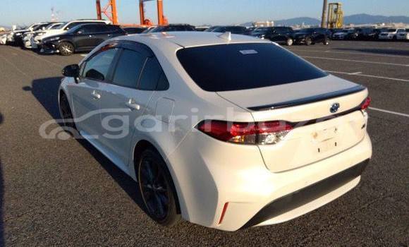 কেনা ব্যবহৃত Toyota Corolla White গাড়ী মধ্যে ঢাকা মধ্যে Dhaka কেনা ব্যবহৃত Toyota Corolla White গাড়ী মধ্যে ঢাকা মধ্যে Dhaka