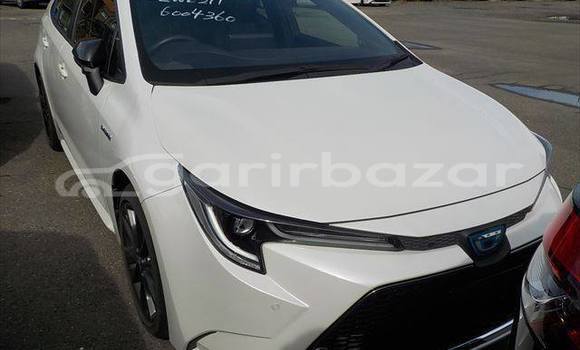কেনা ব্যবহৃত Toyota corolla White গাড়ী মধ্যে ঢাকা মধ্যে Dhaka কেনা ব্যবহৃত Toyota corolla White গাড়ী মধ্যে ঢাকা মধ্যে Dhaka