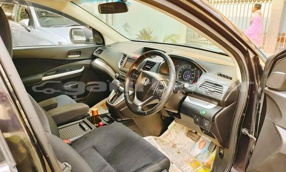 কিনুন ব্যবহৃত Honda গাড়ী কিনুন ব্যবহৃত Honda গাড়ী