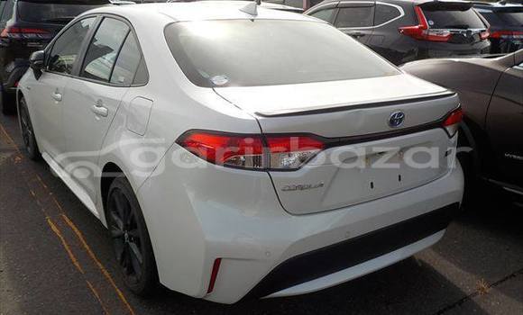 কেনা ব্যবহৃত Toyota corolla White গাড়ী মধ্যে ঢাকা মধ্যে Dhaka কেনা ব্যবহৃত Toyota corolla White গাড়ী মধ্যে ঢাকা মধ্যে Dhaka