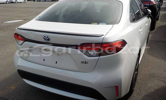 কেনা ব্যবহৃত Toyota corolla White গাড়ী মধ্যে ঢাকা মধ্যে Dhaka কেনা ব্যবহৃত Toyota corolla White গাড়ী মধ্যে ঢাকা মধ্যে Dhaka