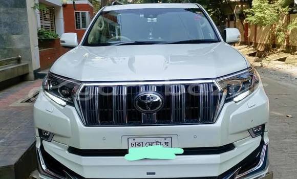 কেনা ব্যবহৃত Toyota Land cruiser prado White গাড়ী মধ্যে ঢাকা মধ্যে Dhaka কেনা ব্যবহৃত Toyota Land cruiser prado White গাড়ী মধ্যে ঢাকা মধ্যে Dhaka