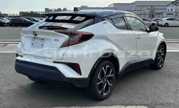 কেনা ব্যবহৃত Toyota CHR White গাড়ী মধ্যে ঢাকা মধ্যে Dhaka কেনা ব্যবহৃত Toyota CHR White গাড়ী মধ্যে ঢাকা মধ্যে Dhaka