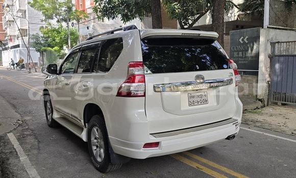 Buy Used 2014 Toyota land cruiser-prado in Dhaka, Dhaka Buy Used 2014 Toyota land cruiser-prado in Dhaka, Dhaka