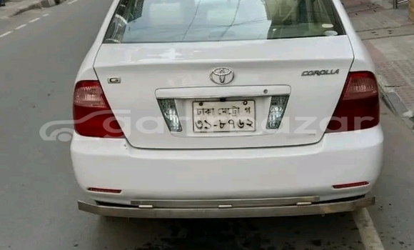কেনা ব্যবহৃত Toyota Corolla White গাড়ী মধ্যে বান্দরবান মধ্যে Bandarban কেনা ব্যবহৃত Toyota Corolla White গাড়ী মধ্যে বান্দরবান মধ্যে Bandarban