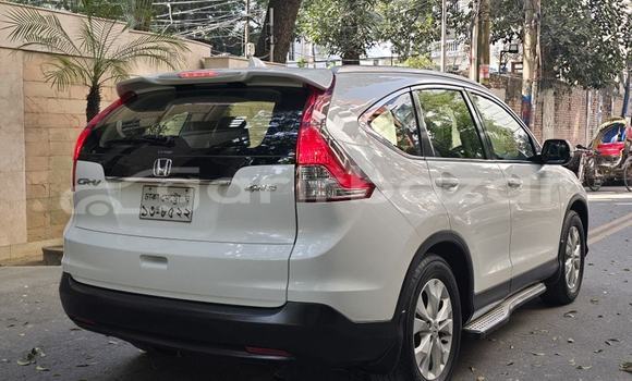 Buy Used 2020 Honda CR-V in Dhaka, Dhaka Buy Used 2020 Honda CR-V in Dhaka, Dhaka
