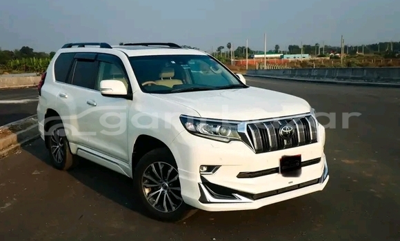 কেনা ব্যবহৃত Toyota Prado White গাড়ী মধ্যে বাজিতপুর মধ্যে Kishorganj কেনা ব্যবহৃত Toyota Prado White গাড়ী মধ্যে বাজিতপুর মধ্যে Kishorganj