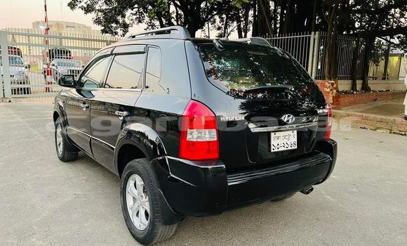 কেনা ব্যবহৃত Hyundai Tucson Black গাড়ী মধ্যে ঢাকা মধ্যে Dhaka কেনা ব্যবহৃত Hyundai Tucson Black গাড়ী মধ্যে ঢাকা মধ্যে Dhaka