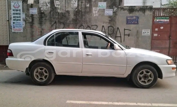 Buy Used Toyota Corolla in Bajitpur, Kishorganj Buy Used Toyota Corolla in Bajitpur, Kishorganj