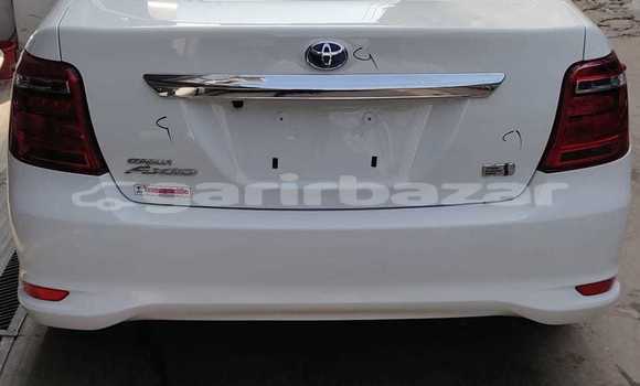 কেনা আমদানি Toyota Axio White গাড়ী মধ্যে ঢাকা মধ্যে Dhaka কেনা আমদানি Toyota Axio White গাড়ী মধ্যে ঢাকা মধ্যে Dhaka