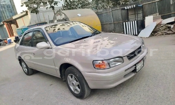 কেনা ব্যবহৃত Toyota 100 corsa Other গাড়ী মধ্যে বাজিতপুর মধ্যে Kishorganj কেনা ব্যবহৃত Toyota 100 corsa Other গাড়ী মধ্যে বাজিতপুর মধ্যে Kishorganj