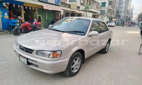 কেনা ব্যবহৃত Toyota 100 corsa Other গাড়ী মধ্যে বাজিতপুর মধ্যে Kishorganj কেনা ব্যবহৃত Toyota 100 corsa Other গাড়ী মধ্যে বাজিতপুর মধ্যে Kishorganj
