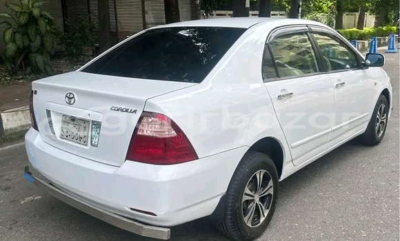 কেনা ব্যবহৃত Toyota Corolla 111 White গাড়ী মধ্যে বাজিতপুর মধ্যে Kishorganj কেনা ব্যবহৃত Toyota Corolla 111 White গাড়ী মধ্যে বাজিতপুর মধ্যে Kishorganj