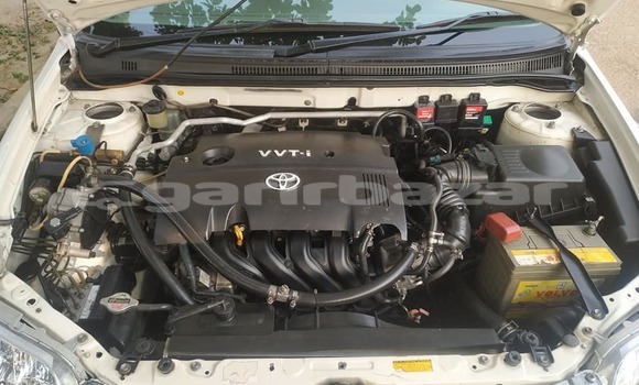 কেনা ব্যবহৃত Toyota Corolla White গাড়ী মধ্যে ঢাকা মধ্যে Dhaka কেনা ব্যবহৃত Toyota Corolla White গাড়ী মধ্যে ঢাকা মধ্যে Dhaka