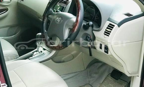 কেনা ব্যবহৃত Toyota axio Red গাড়ী মধ্যে ঢাকা মধ্যে Dhaka কেনা ব্যবহৃত Toyota axio Red গাড়ী মধ্যে ঢাকা মধ্যে Dhaka