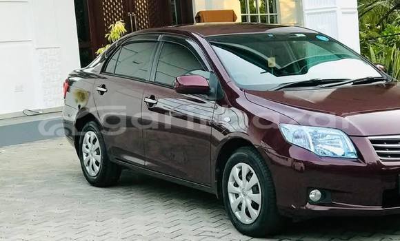 কেনা ব্যবহৃত Toyota axio Red গাড়ী মধ্যে ঢাকা মধ্যে Dhaka কেনা ব্যবহৃত Toyota axio Red গাড়ী মধ্যে ঢাকা মধ্যে Dhaka