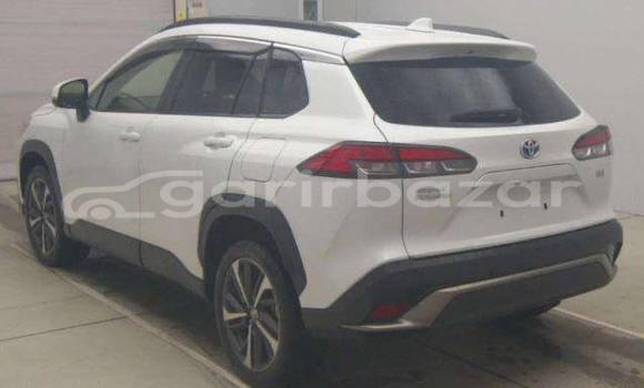 Buy Used 2019 Toyota Corolla in Dhaka, Dhaka Buy Used 2019 Toyota Corolla in Dhaka, Dhaka