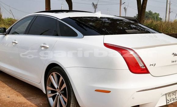 Buy Used 2013 Jaguar XJ in Dhaka, Dhaka Buy Used 2013 Jaguar XJ in Dhaka, Dhaka