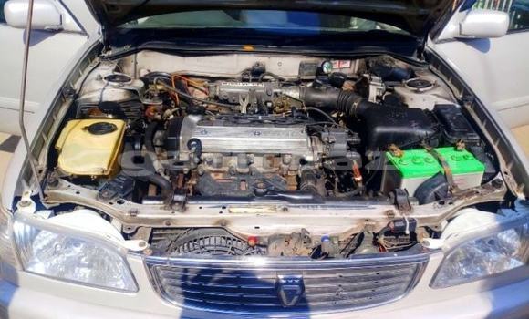 Buy Used Toyota Corolla in Dhaka, Dhaka Buy Used Toyota Corolla in Dhaka, Dhaka