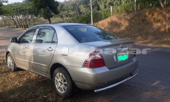 Buy Used 2004 Toyota Corolla in Dhaka, Dhaka Buy Used 2004 Toyota Corolla in Dhaka, Dhaka