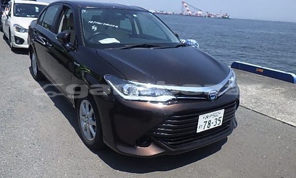 কেনা আমদানি Toyota Axio Brown গাড়ী মধ্যে ঢাকা মধ্যে Dhaka কেনা আমদানি Toyota Axio Brown গাড়ী মধ্যে ঢাকা মধ্যে Dhaka