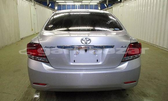 কেনা আমদানি Toyota Allion Silver গাড়ী মধ্যে ঢাকা মধ্যে Dhaka কেনা আমদানি Toyota Allion Silver গাড়ী মধ্যে ঢাকা মধ্যে Dhaka