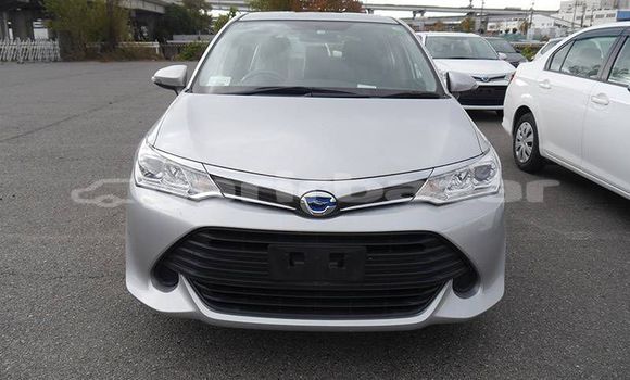 কেনা আমদানি Toyota Fielder Silver গাড়ী মধ্যে ঢাকা মধ্যে Dhaka কেনা আমদানি Toyota Fielder Silver গাড়ী মধ্যে ঢাকা মধ্যে Dhaka