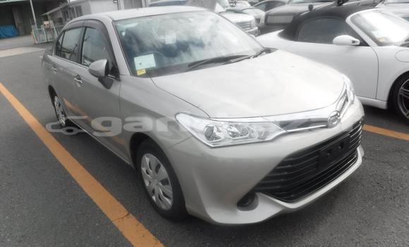 কেনা আমদানি Toyota Axio Beige গাড়ী মধ্যে ঢাকা মধ্যে Dhaka কেনা আমদানি Toyota Axio Beige গাড়ী মধ্যে ঢাকা মধ্যে Dhaka