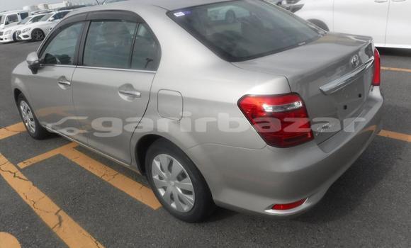 কেনা আমদানি Toyota Axio Beige গাড়ী মধ্যে ঢাকা মধ্যে Dhaka কেনা আমদানি Toyota Axio Beige গাড়ী মধ্যে ঢাকা মধ্যে Dhaka