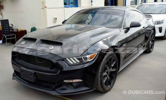 কেনা আমদানি Ford Mustang Black গাড়ী মধ্যে ইম্পোর্ট - দুবাই মধ্যে Bandarban কেনা আমদানি Ford Mustang Black গাড়ী মধ্যে ইম্পোর্ট - দুবাই মধ্যে Bandarban