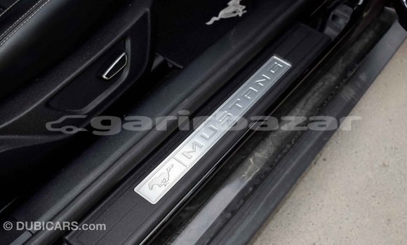 কেনা আমদানি Ford Mustang Black গাড়ী মধ্যে ইম্পোর্ট - দুবাই মধ্যে Bandarban কেনা আমদানি Ford Mustang Black গাড়ী মধ্যে ইম্পোর্ট - দুবাই মধ্যে Bandarban