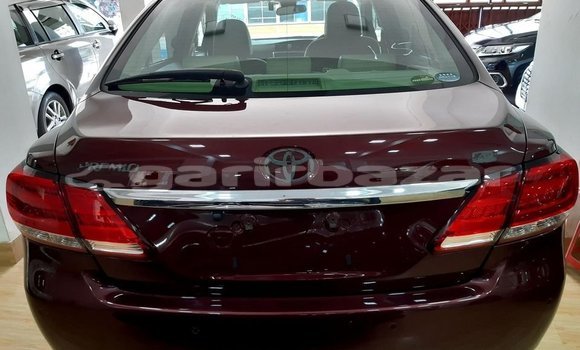 কেনা আমদানি Toyota Premio Red গাড়ী মধ্যে ঢাকা মধ্যে Dhaka কেনা আমদানি Toyota Premio Red গাড়ী মধ্যে ঢাকা মধ্যে Dhaka
