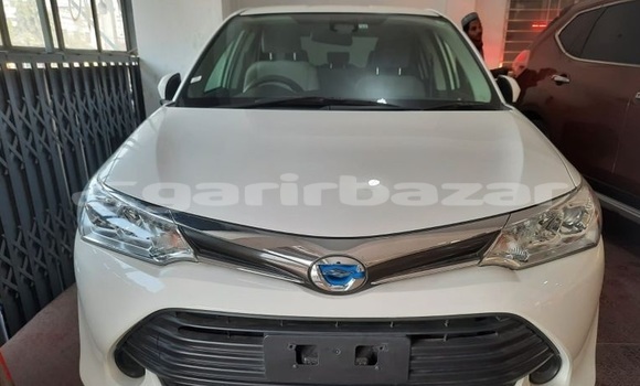 কেনা ব্যবহৃত Toyota Axio White গাড়ী মধ্যে ঢাকা মধ্যে Dhaka কেনা ব্যবহৃত Toyota Axio White গাড়ী মধ্যে ঢাকা মধ্যে Dhaka