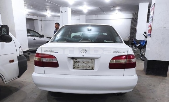 Buy Used 1997 Toyota Corolla in Dhaka, Dhaka Buy Used 1997 Toyota Corolla in Dhaka, Dhaka