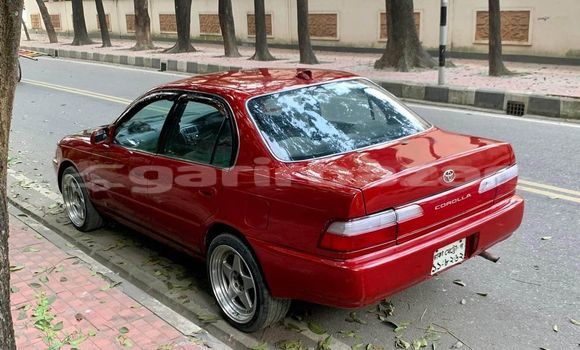 Buy Used Toyota Corolla in Dhaka, Dhaka Buy Used Toyota Corolla in Dhaka, Dhaka