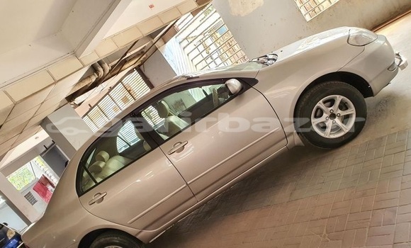 কেনা ব্যবহৃত Toyota Corolla Silver গাড়ী মধ্যে ঢাকা মধ্যে Dhaka কেনা ব্যবহৃত Toyota Corolla Silver গাড়ী মধ্যে ঢাকা মধ্যে Dhaka