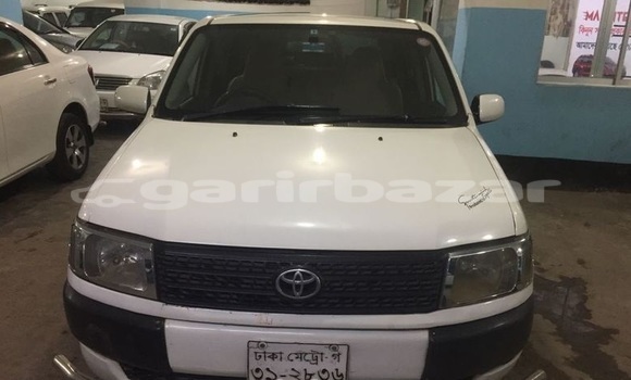 কেনা ব্যবহৃত Toyota Probox White গাড়ী মধ্যে ঢাকা মধ্যে Dhaka কেনা ব্যবহৃত Toyota Probox White গাড়ী মধ্যে ঢাকা মধ্যে Dhaka