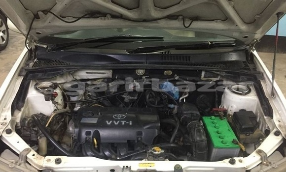 কেনা ব্যবহৃত Toyota Probox White গাড়ী মধ্যে ঢাকা মধ্যে Dhaka কেনা ব্যবহৃত Toyota Probox White গাড়ী মধ্যে ঢাকা মধ্যে Dhaka