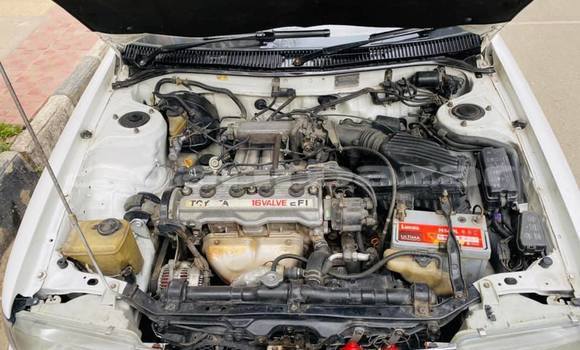 Buy Used Toyota Corolla in Dhaka, Dhaka Buy Used Toyota Corolla in Dhaka, Dhaka