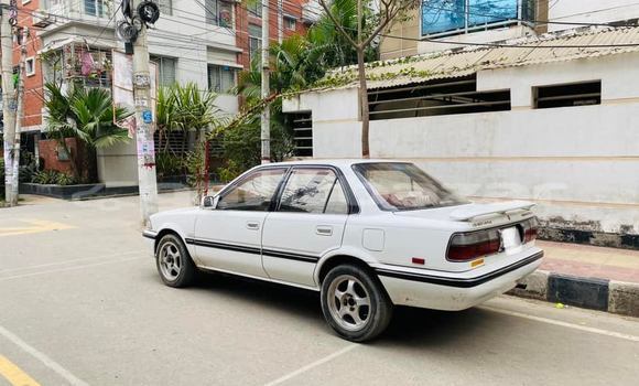 Buy Used Toyota Corolla in Dhaka, Dhaka Buy Used Toyota Corolla in Dhaka, Dhaka