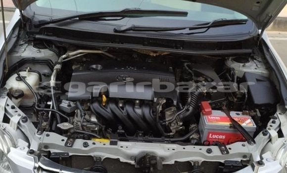 কেনা ব্যবহৃত Toyota Premio Silver গাড়ী মধ্যে ঢাকা মধ্যে Dhaka কেনা ব্যবহৃত Toyota Premio Silver গাড়ী মধ্যে ঢাকা মধ্যে Dhaka