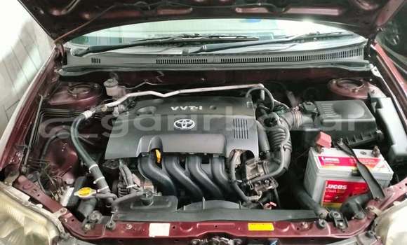 কেনা ব্যবহৃত Toyota X corolla Red গাড়ী মধ্যে ঢাকা মধ্যে Dhaka কেনা ব্যবহৃত Toyota X corolla Red গাড়ী মধ্যে ঢাকা মধ্যে Dhaka