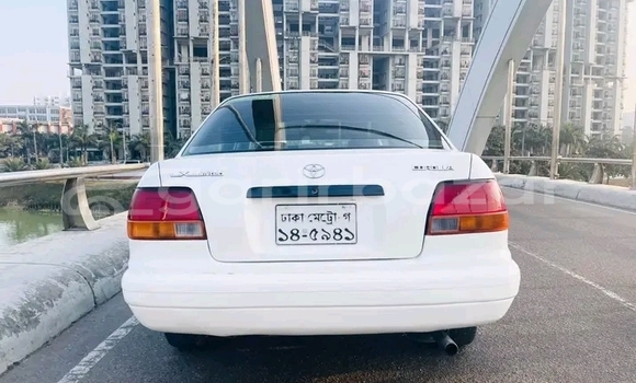 Buy Used Toyota 110 in Bandarban, Bandarban Buy Used Toyota 110 in Bandarban, Bandarban